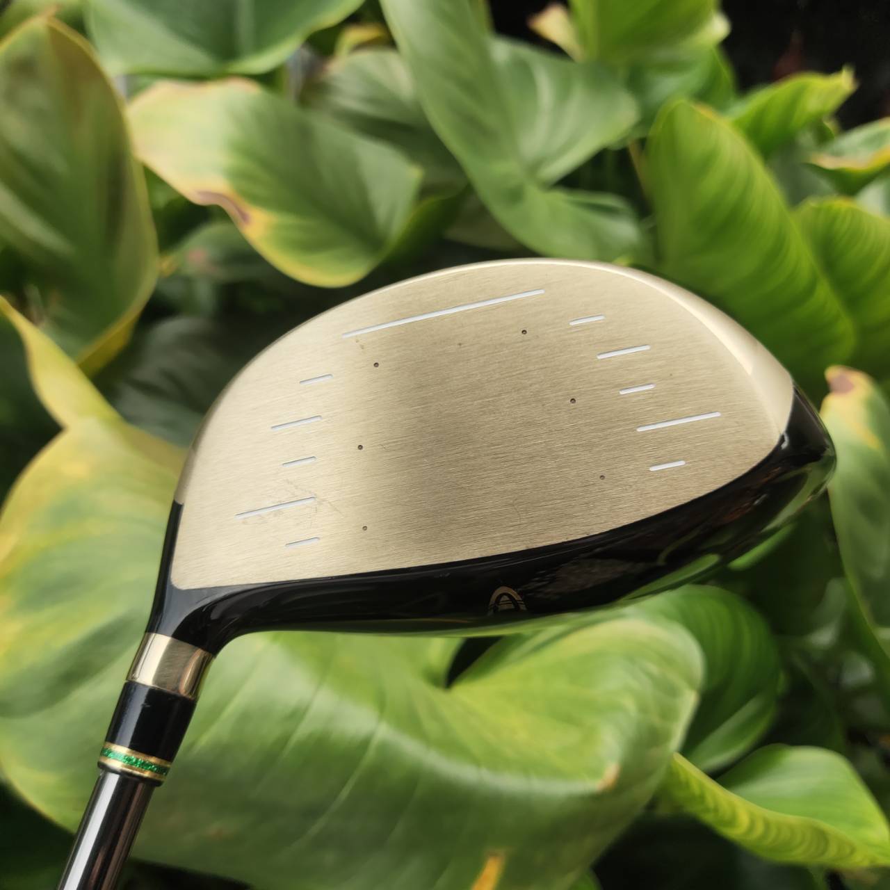 Driver PHYZ Premium Model | หัวสีทอง ไม้กอล์ฟระดับพรีเมียมสูงสุดของ Bridgestone Japan