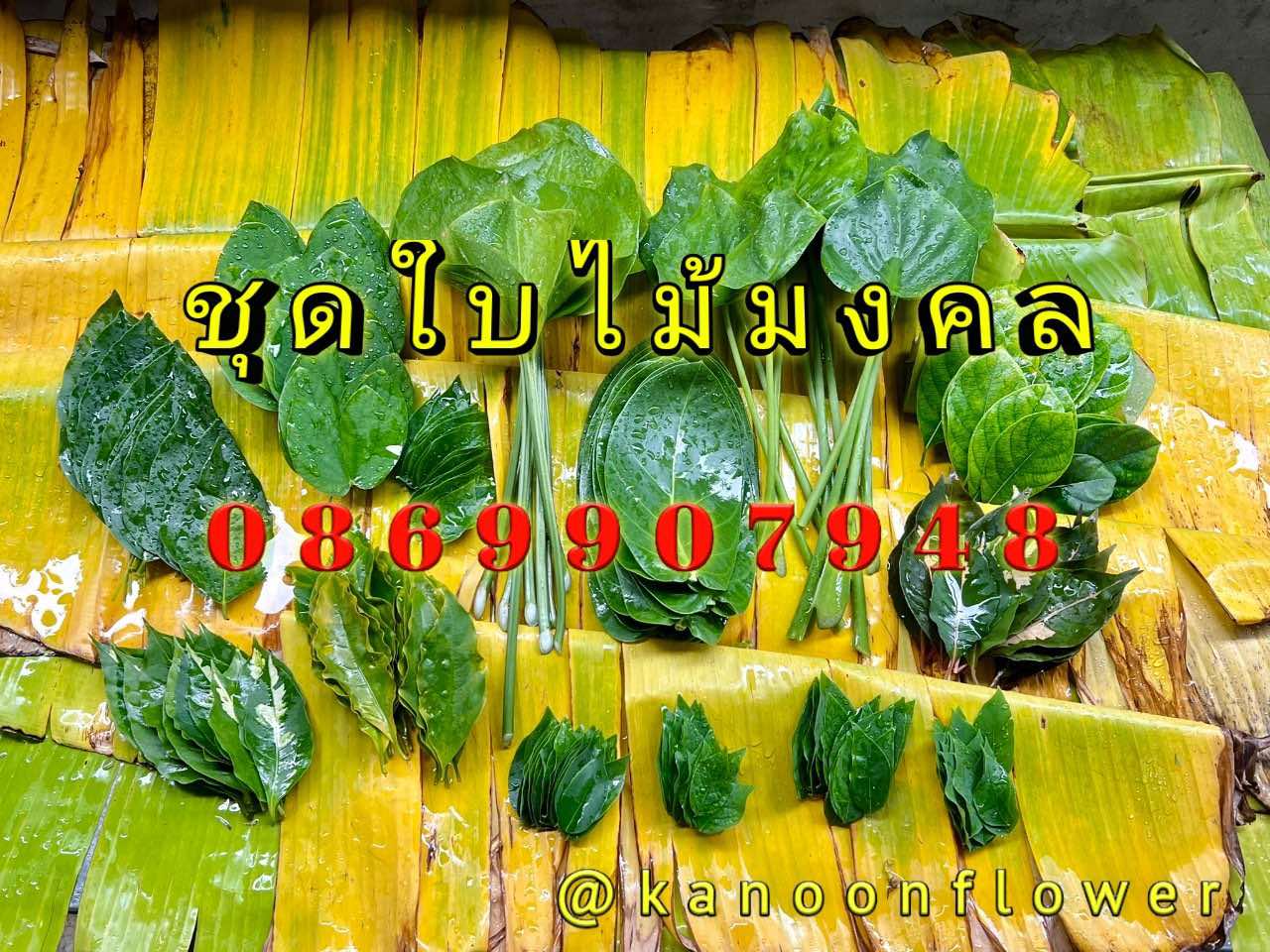 ใบไม้มงคล (พิธี)