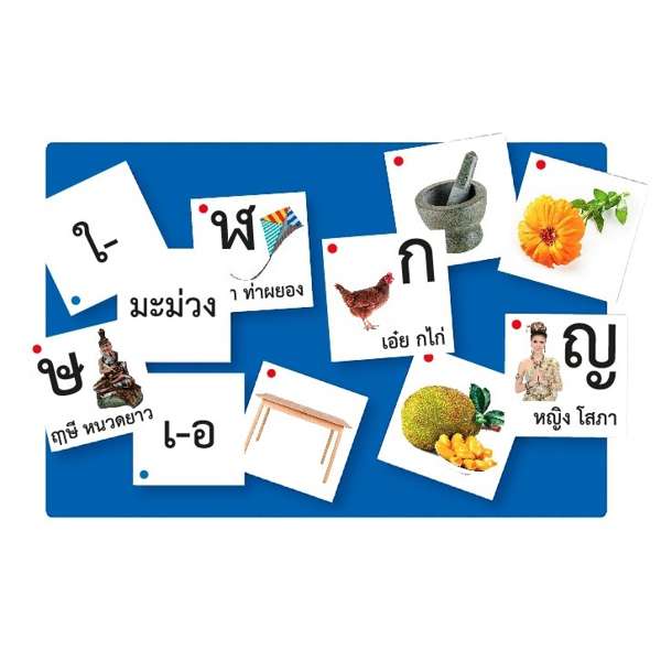 บัตรภาพสำหรับกระเป๋าผนังชุดเรียนรู้พยัญชนะไทย, ของเล่นเสริมพัฒนาการ, สื่อการสอน