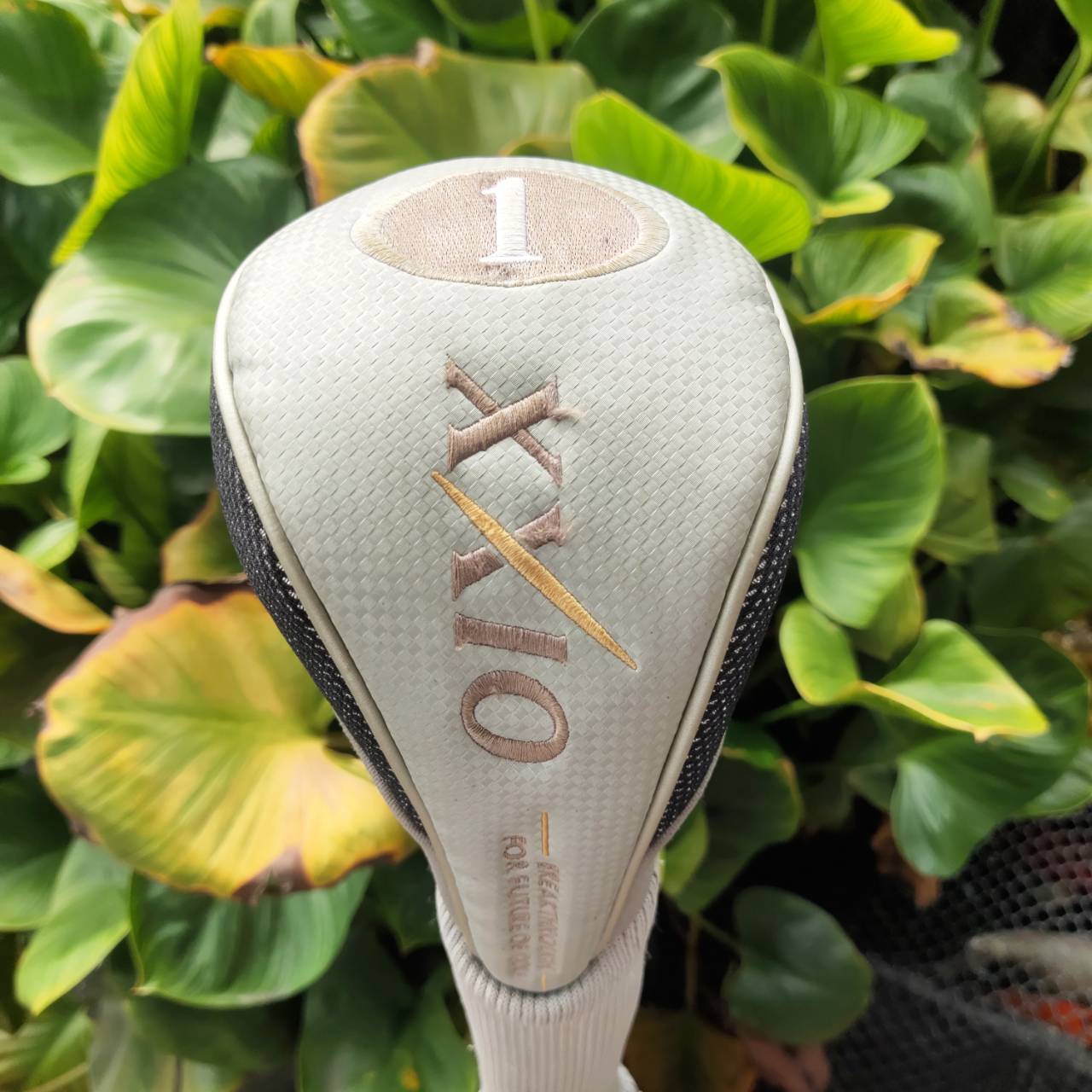 *ไม้กอล์ฟผู้หญิง* XXIO Impact Power Body พลังเต็มสวิงสำหรับนักกอล์ฟที่รักความง่ายและระยะไกล