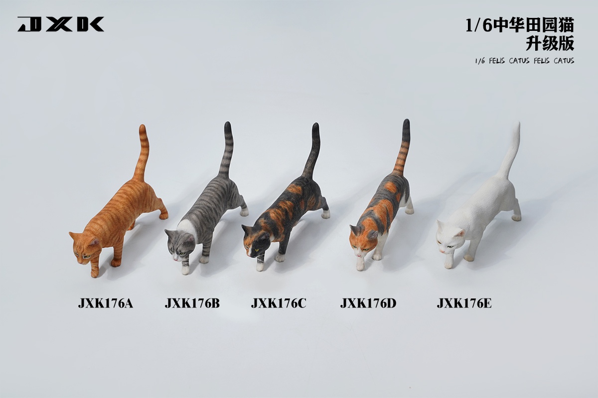 [สั่งจอง] JXK JXK176 1/6 : Felis Catus