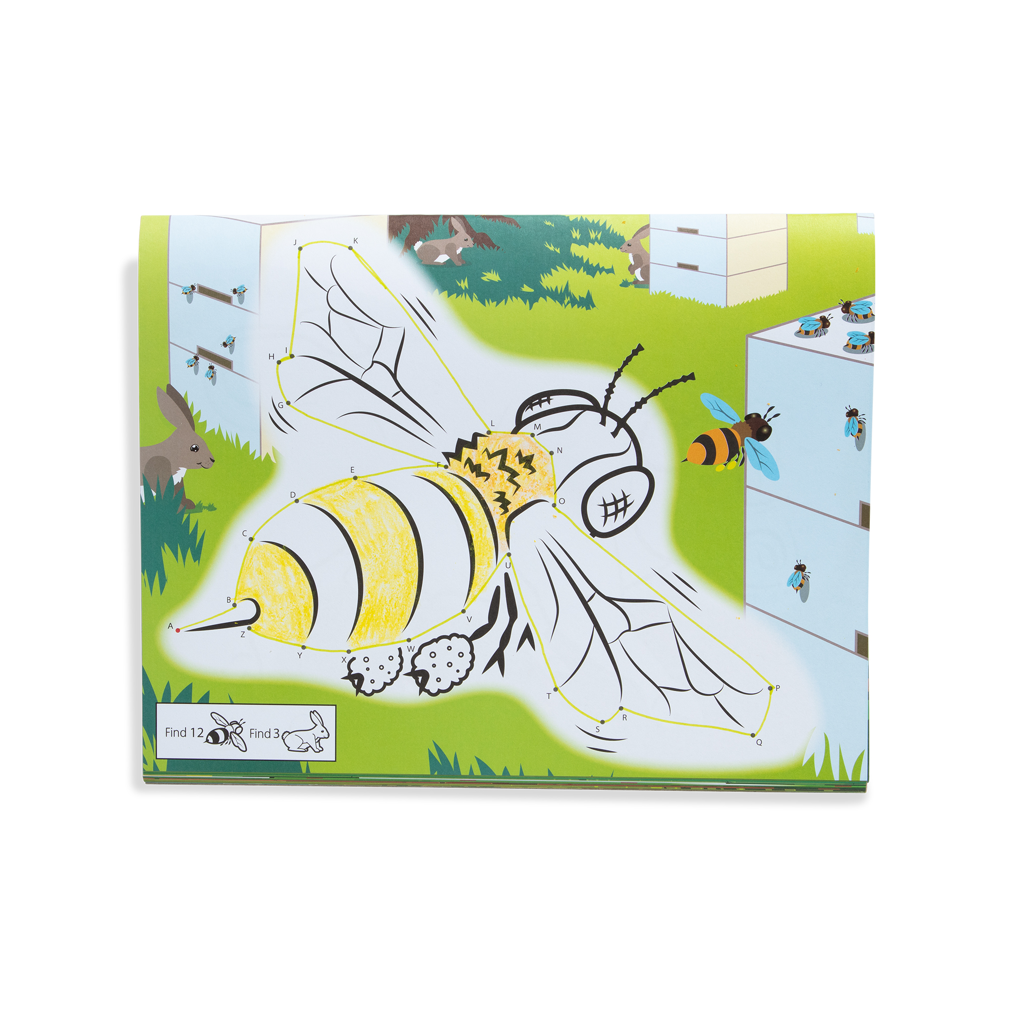 ABC Dot-to-Dot Coloring Pad - Farm ชุดสมุดระบายสีจัมโบ้ ต่อจุด ABC รุ่นฟาร์ม ส่งเสริมการระบายสีตามจินตนาการ พร้อมเรียนรู้เรื่องตัวอักษร