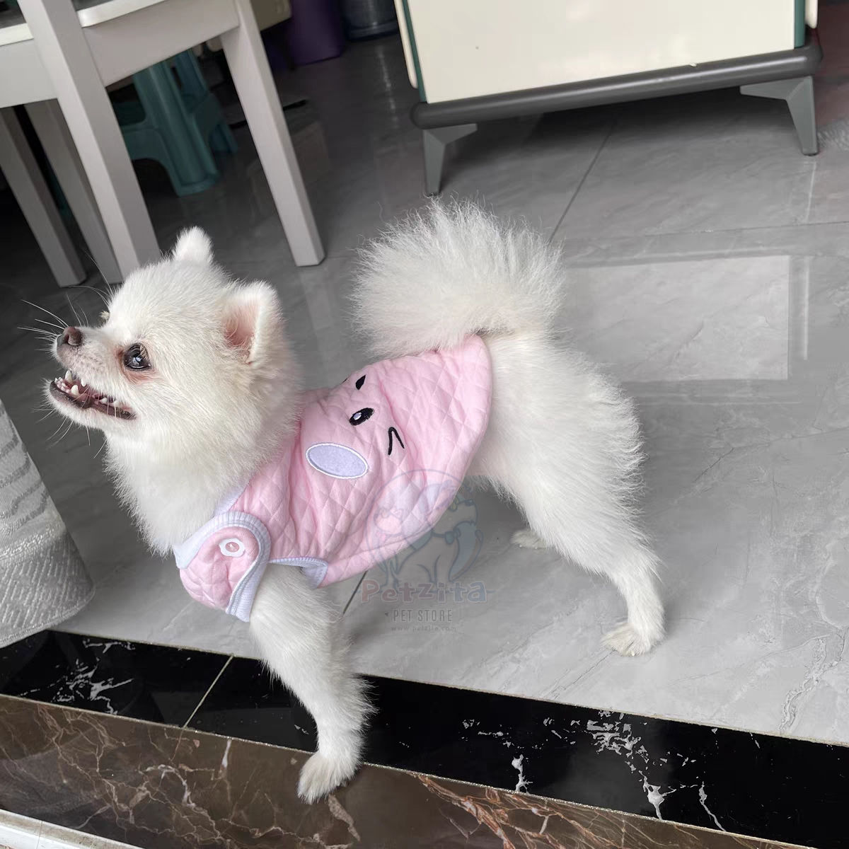 🇹🇭พร้อมส่ง🇹🇭 💗🌈 เสื้อกั๊ก สุดน่ารัก ผ้านุ่มนิ่ม สไตล์ญี่ปุ่น 🇯🇵 for pet สุนัข หมา แมว