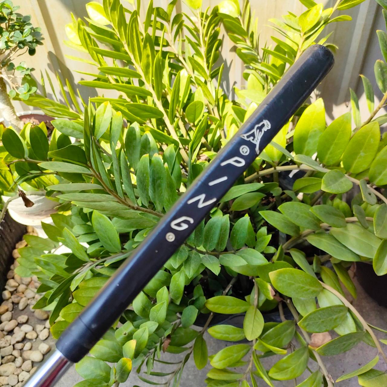 PUTTER PING ZING2 ความยาว 35 นิ้ว ตัวนี้ออกมาช่วย ในเรื่องของการพัตต์ตบ วางน้ำหนัก ไม้กอล์ฟพรีเมี่ยมมือสอง ของแท้ By NakaraLuxurious