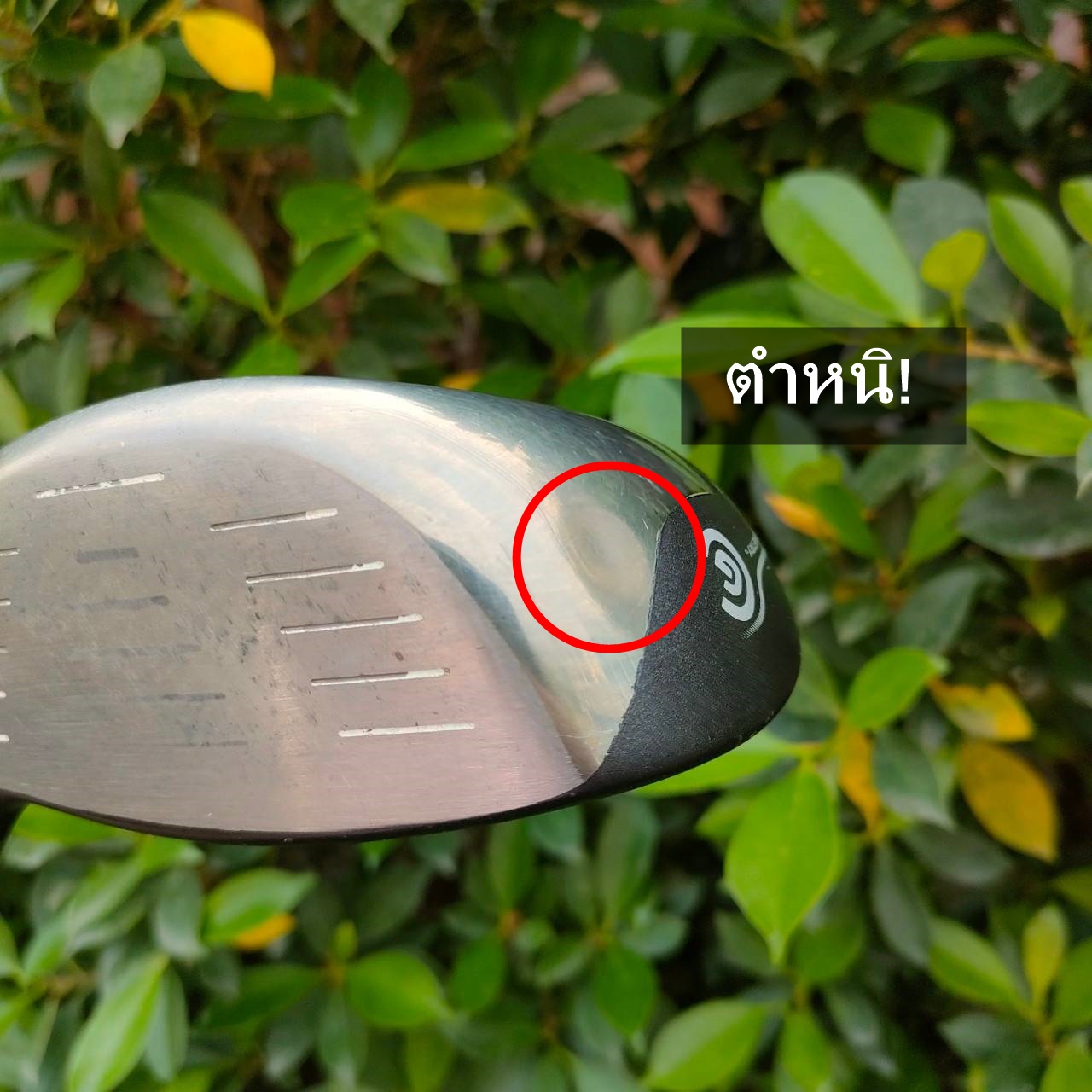 DRIVER CLEVELAND HIBORE องศา 9.5 ก้าน FUJIKURA BEAT FLEX SR ** ไม้กอล์ฟมีรอยบุ๋มนิดหน่อย