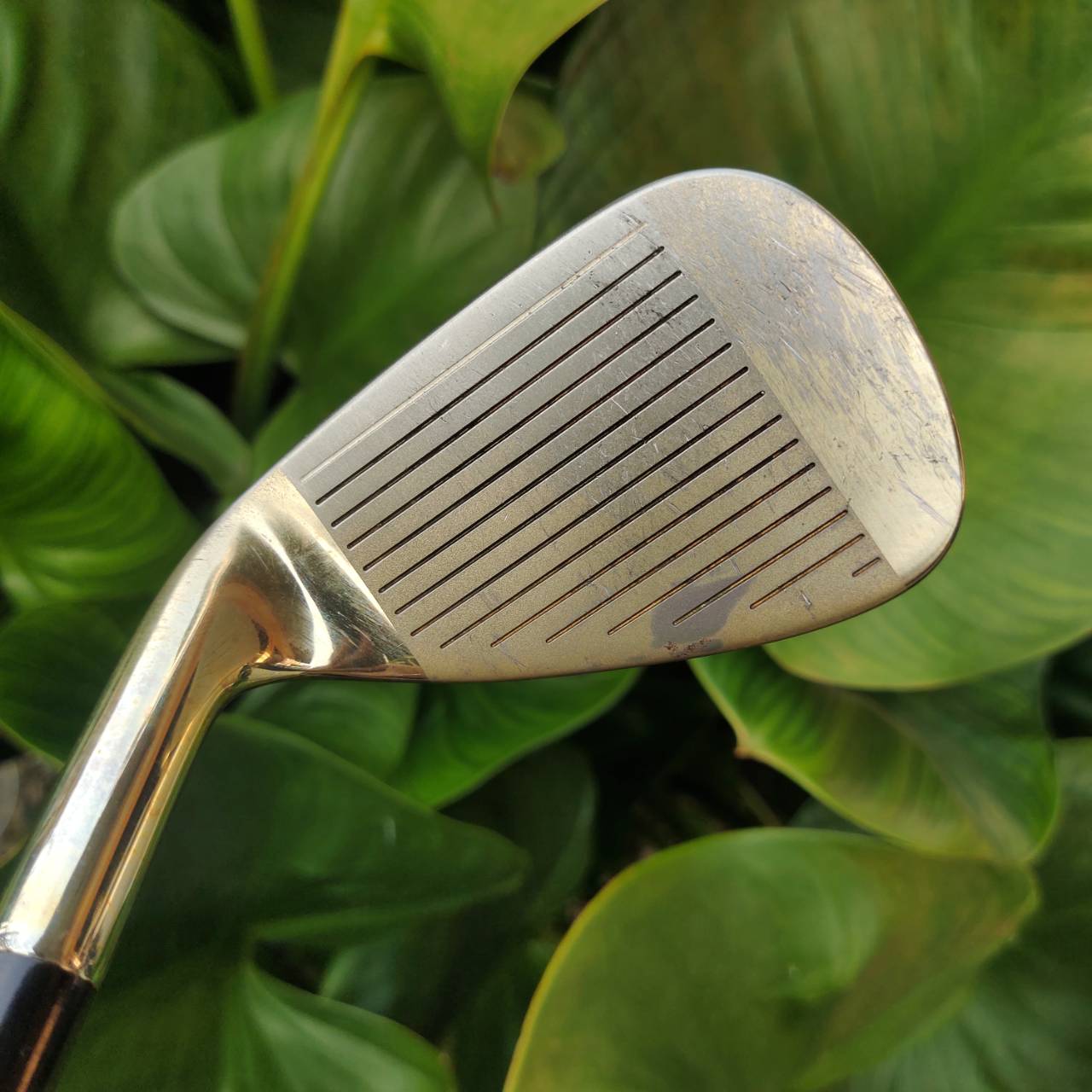 SW VOLTIO GOLD เป็นเวดจ์ระดับพรีเมียม เล่นลูกสั้นรอบกรีนได้อย่างแม่นยำและมีประสิทธิภาพ