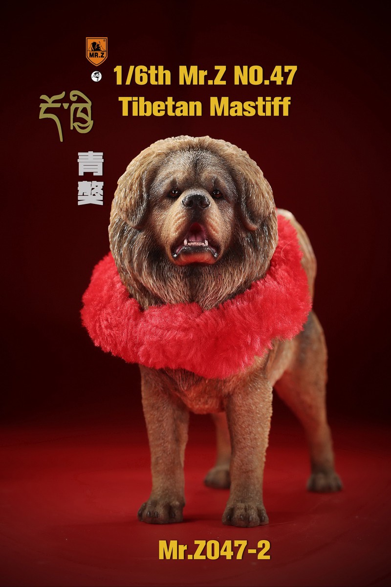 [สั่งจอง] MR. Z Animal Model MRZ047 1/6th Tibetan Mastiff