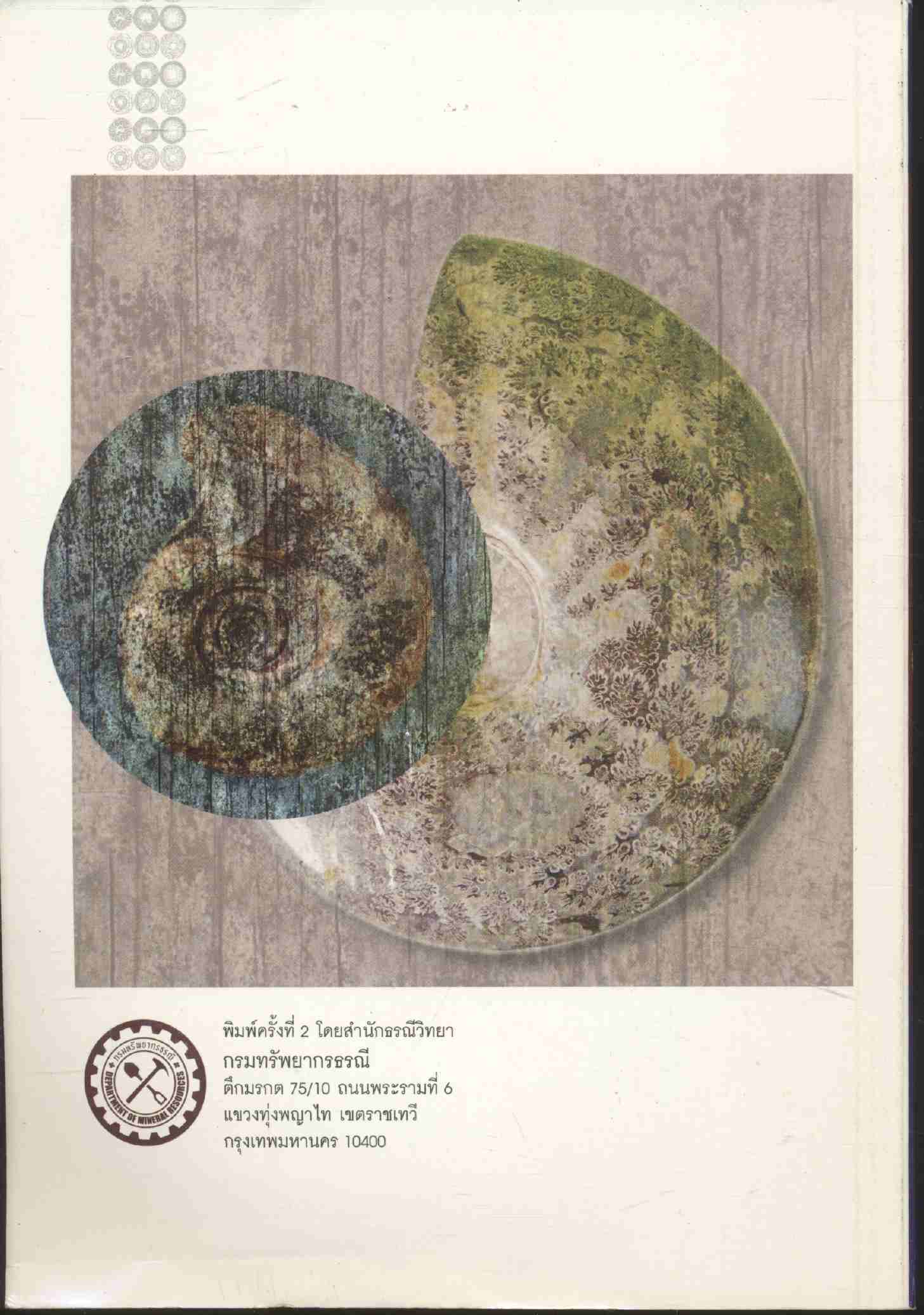 เรื่องความรู้ทั่วไปเกี่ยวกับซากดึกดำบรรพ์