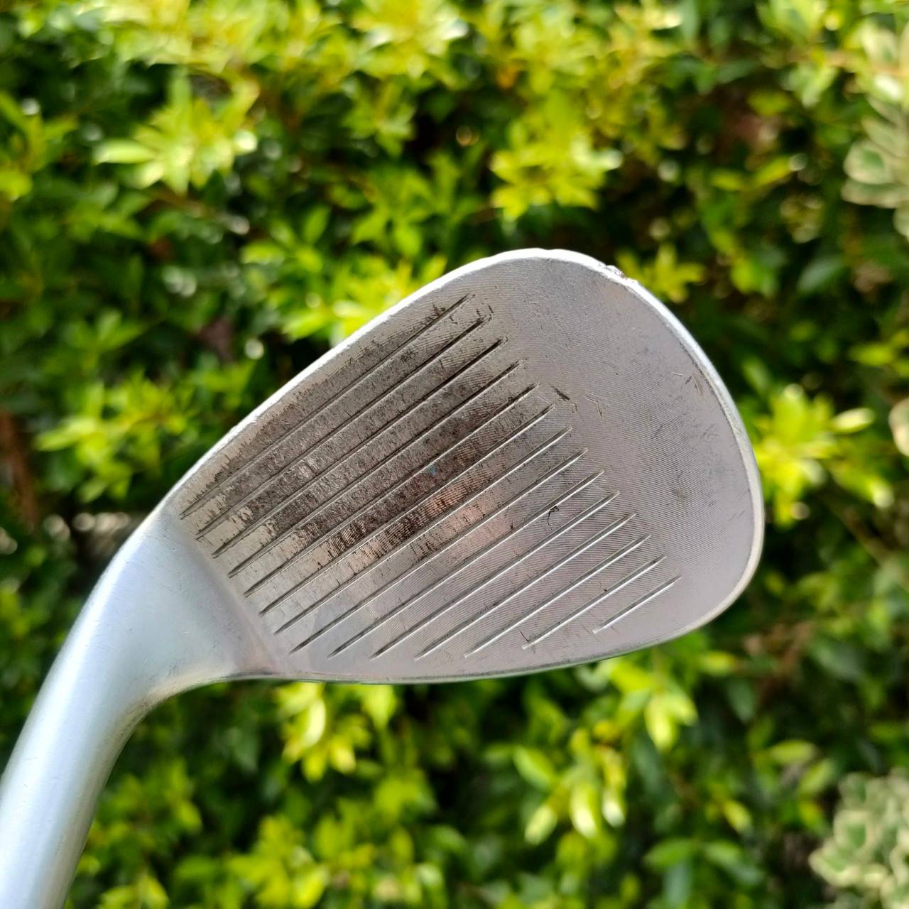 WEDGE TITLEIST BV VOKEY DESIGN องศา 56 BOUNCE 08 ก้าน TITILEIST FLEX WEDGE รุ่น SPIN MILLED สปินจัดๆเลยครับ