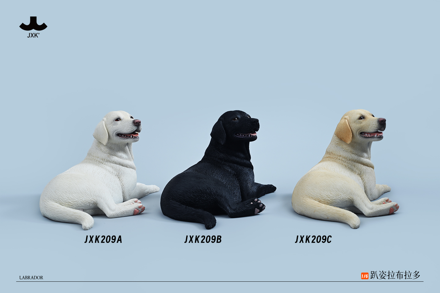 [สั่งจอง]JXK - Labrador 1/6 (ขนาด 21Cm)