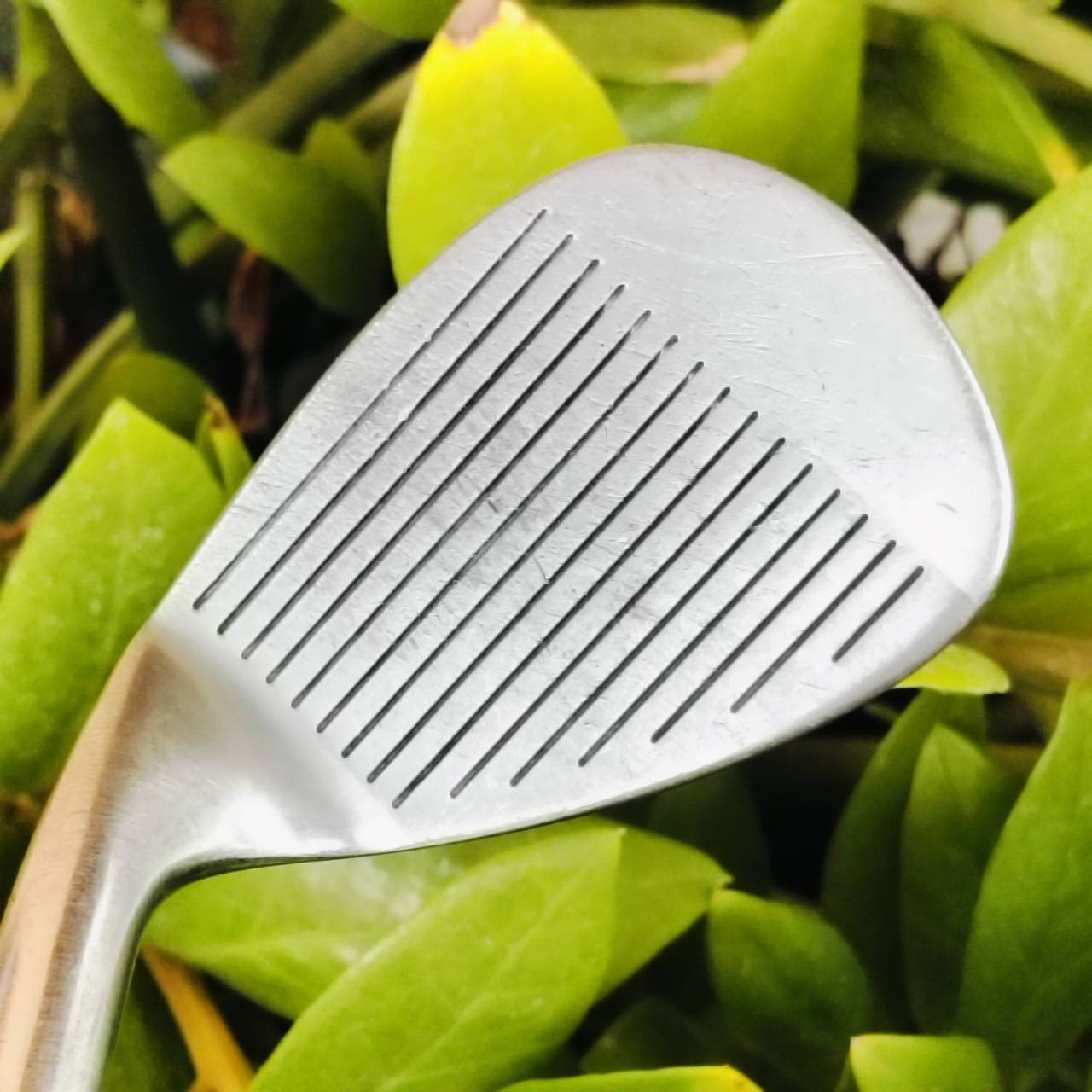 WEDGE DUNLOP องศา 56 สภาพสวยเดิมๆ ชิพนุ่มๆ ก้านเหล็ก เดิมๆ WEDGE FLEX MADE IN JAPAN ไม้กอล์ฟพรีเมี่ยมมือสอง ของแท้ By NakaraLuxurious