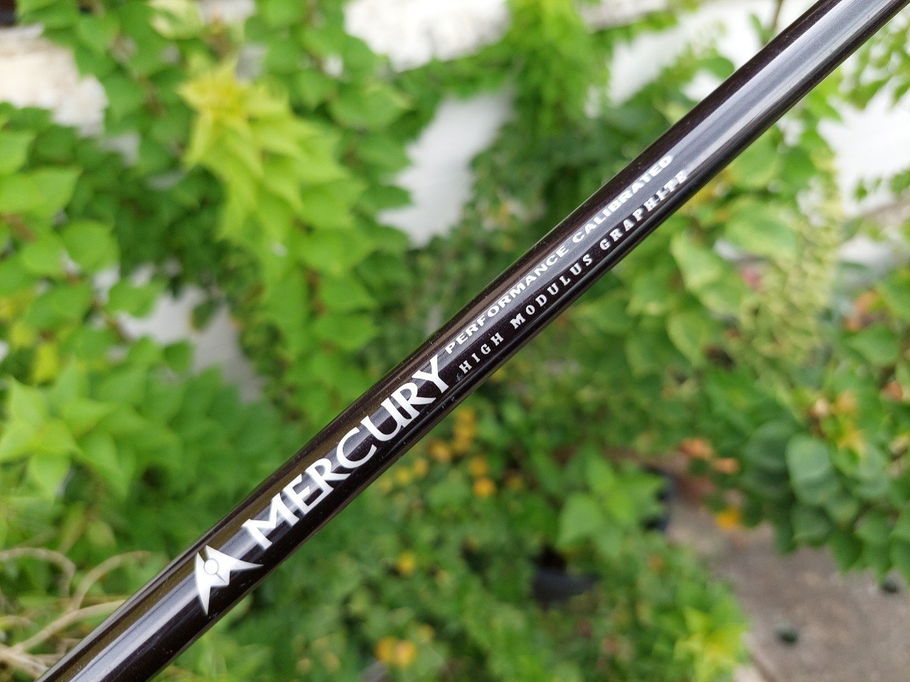 FW5 MERCURY TITANIUM