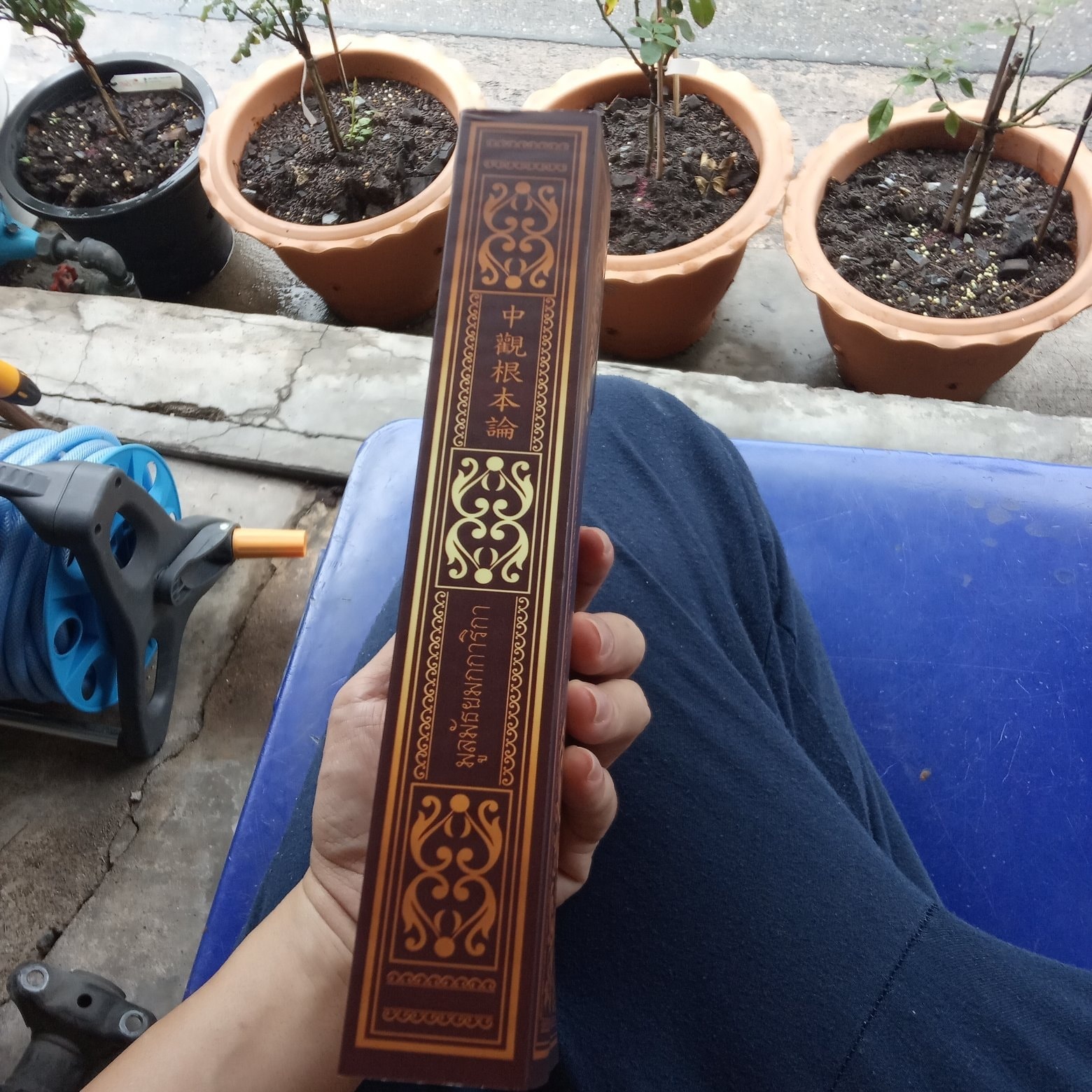 มูลมัธยมกการิกา (พร้อมส่ง)