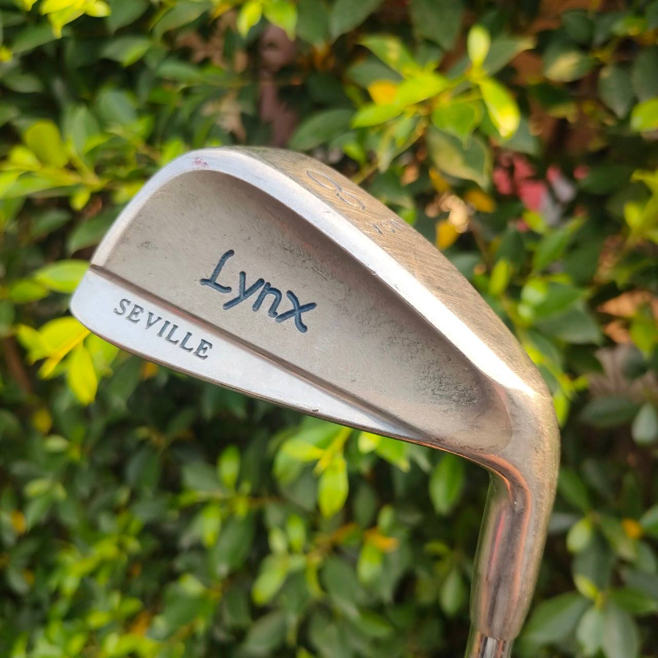 ชุดเหล็ก LYNX SEVILLE มีเหล็ก 3-9 เเละ SW ก้าน LYNX เหล็กคมสุดมันส์ พัฒนาขั้นสุดครับ