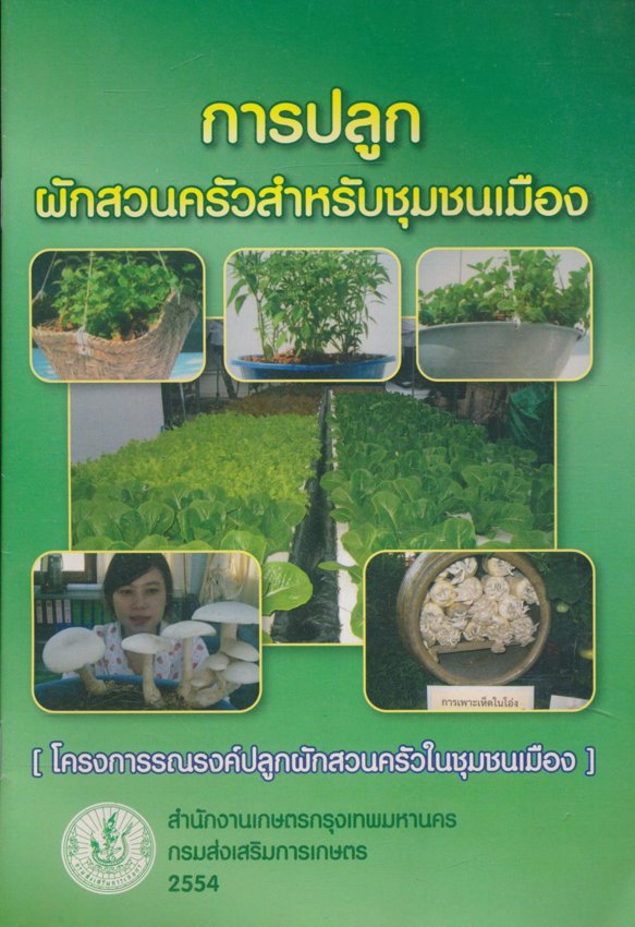 การปลูกผักสวนครัวสำหรับชุมชนเมือง