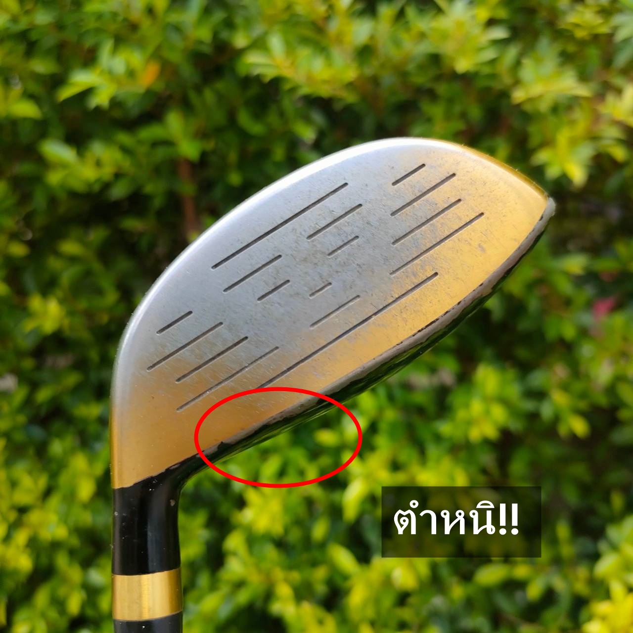 ** ไม้กอล์ฟสำหรับผู้หญิง ** FW3 HONMA MUTSUMI MH488F องศา 17 ก้าน MUTSUMI HONMA FLEX L เป็นวัสดุพรีเมี่ยมSTEEL หัวสีทอง *** มีรอยถลอกเยอะหน่อย แต่เช็คทั้งหมด ไม่เข้าเนื้อ ไม่แตกไม่บุ *** ไม้กอล์ฟมือสอง ของแท้ BY NakaraLuxurious