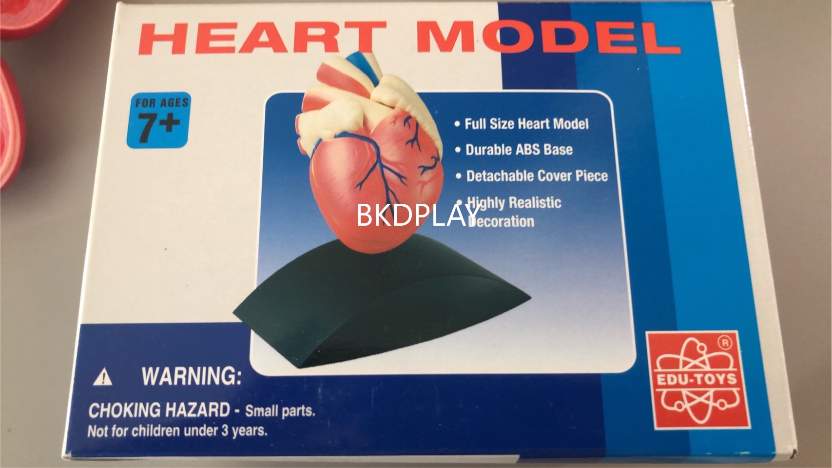 หัวใจจำลอง , โมเดลหัวใจ ทดลองวิทยาศาสตร์,สื่อการสอน, ของเล่น, พร้อมส่ง