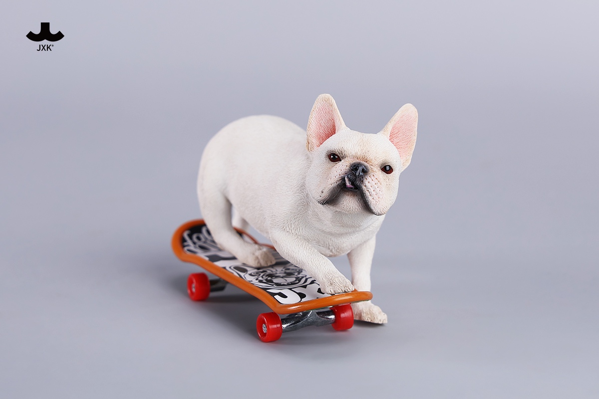[สั่งจอง] JXK 1/6 : Skateboarding French Bulldog