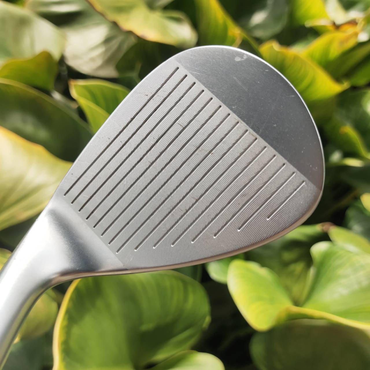 WEDGE KASCO DW-113 โลมาตัวดัง!! หน้าใบ CNC Milled สร้างสปินมหาศาล คุมลูกตกหยุดได้ดั่งใจ