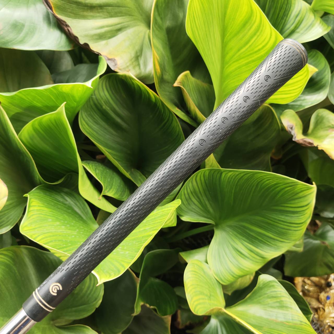 WEDGE CLEVELAND CG14 ZIP GROOVES ร่องสี่เหลี่ยมเหมือนซิป โหดที่สุด เจาะลึก หยุดสนิท! ไม่มีอีกแล้ว!