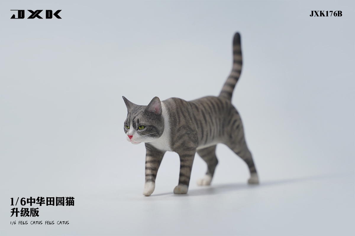 [สั่งจอง] JXK JXK176 1/6 : Felis Catus