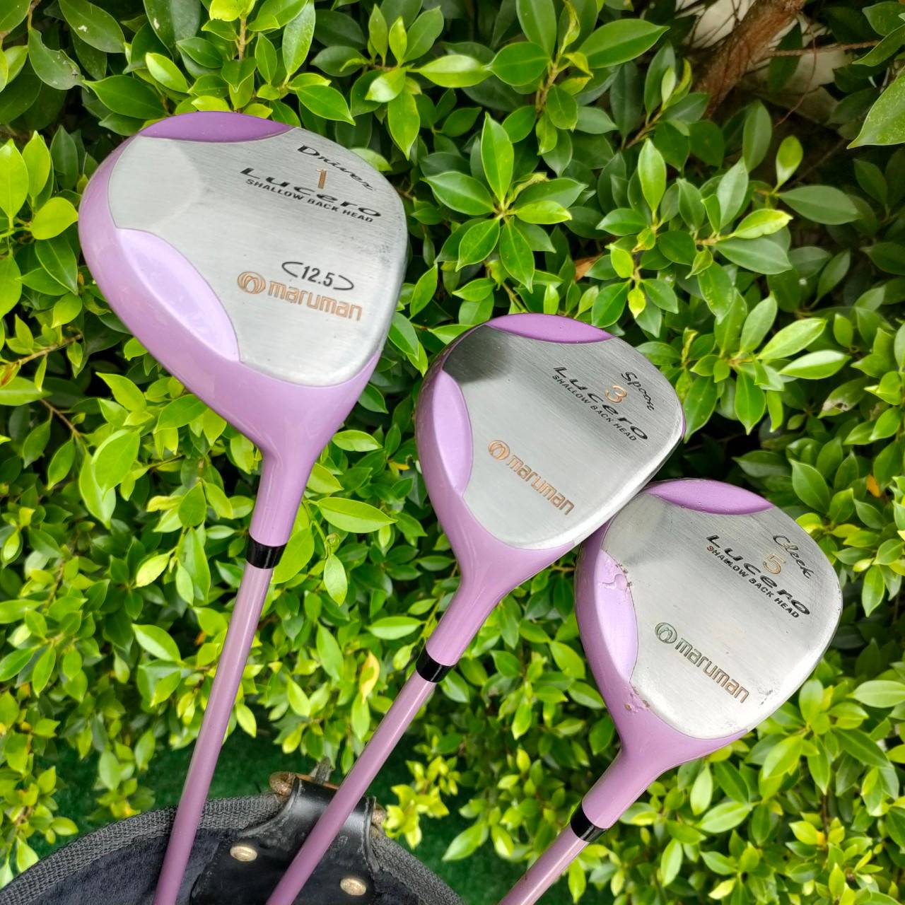 **ไม้กอล์ฟสำหรับผู้หญิง** SETLADY MARUMAN LUCERO ชุดกอล์ฟพรีเมี่ยมจากญี่ปุ่น ก้านเบา ตีง่าย ตีสบาย ตีดีมาก เหมาะกับผู้หญิงเอเชียโดยเฉพาะ!! ไม้กอล์ฟมือสอง ของแท้ BY NakaraLuxurious