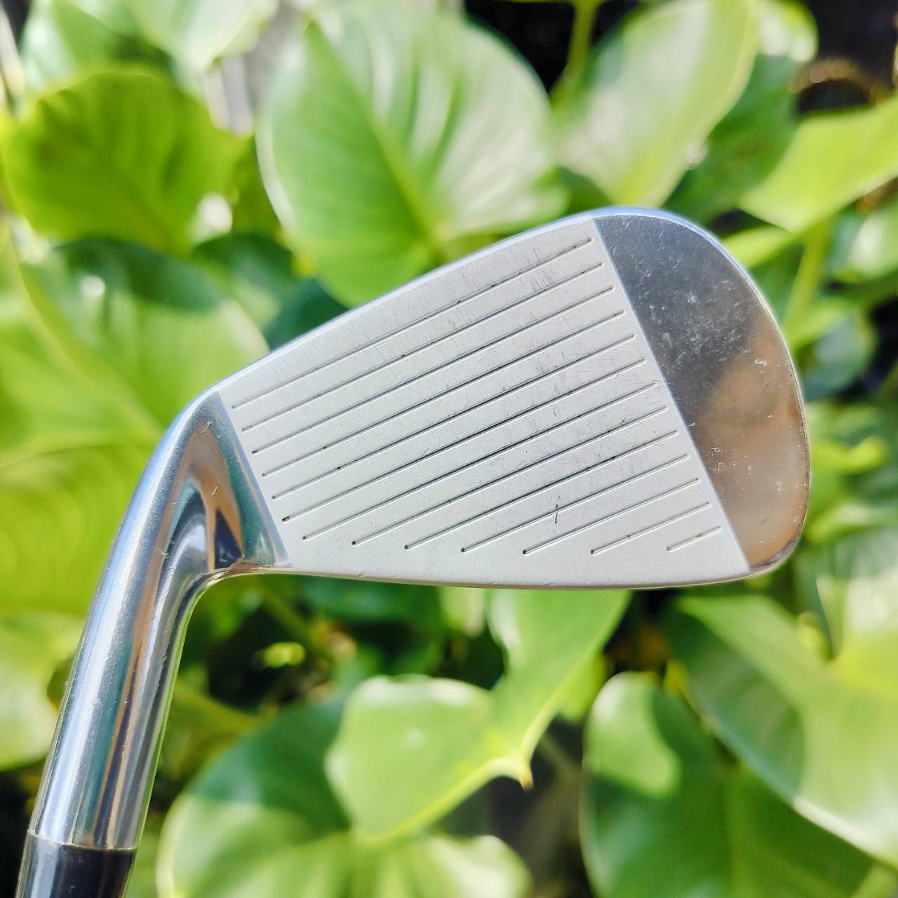 เหล็ก 4 KING COBRA FORGED SS ก้าน DYNAMIC GOLD S300 เนื้อเหล็ก FORGED นุ่มจัด พรีเมี่ยม ไม้กอล์ฟพรีเมี่ยมมือสอง ของแท้ By NakaraLuxurious