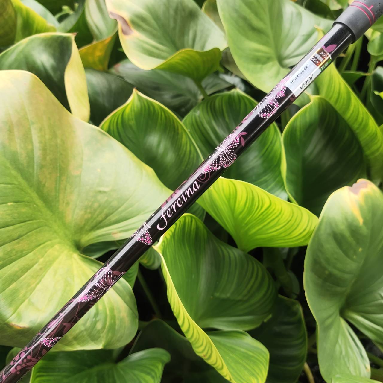 KASCO FEREINA ชุดไม้กอล์ฟระดับพรีเมียมสำหรับสุภาพสตรี เบา ตีง่าย ดีไซน์สวยงามจากประเทศญี่ปุ่น