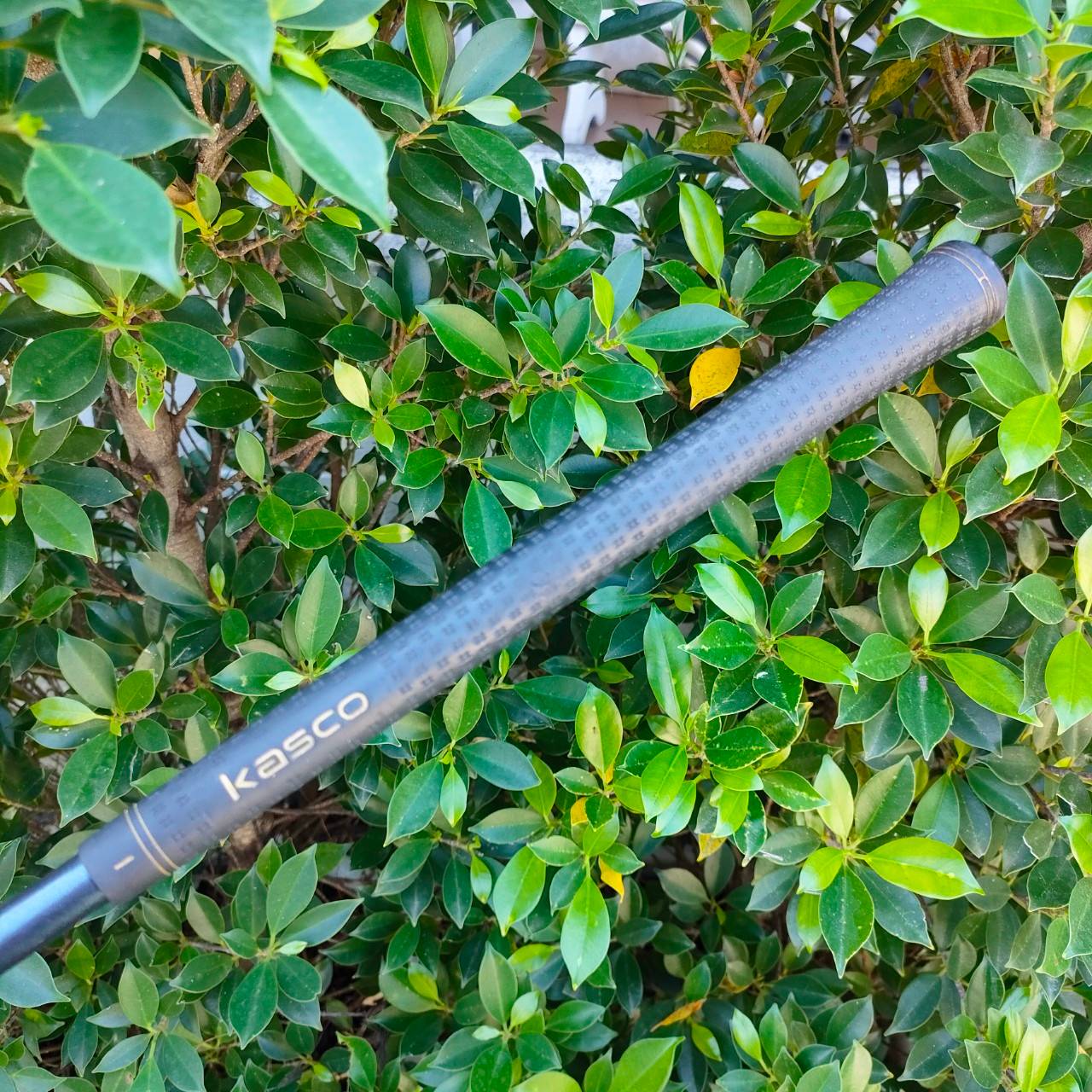 **ไม้กอล์ฟสำหรับผู้หญิง** FW5 KASCO DNA FEREINA LADY ก้าน KASCO FLEX L MADE IN JAPAN