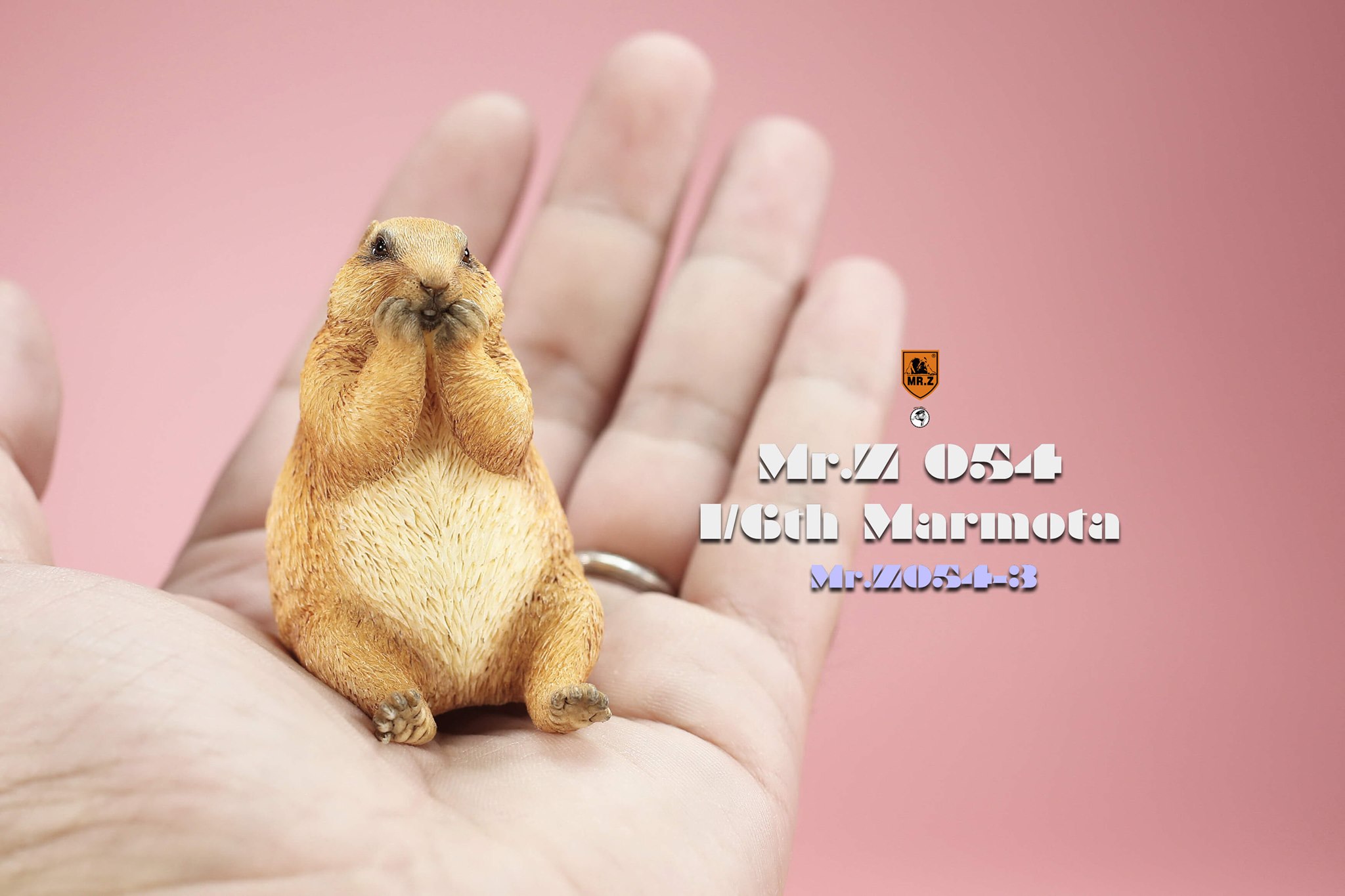 [สั่งจอง]Mr.Z MRZ054 1/6 : Animal Model - Marmota