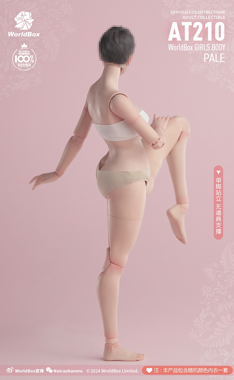 [พร้อมส่ง]Worldbox 1/6 : --- AT210 female body wasp waist version ---(เฉพาะบอดี้ ไม่รวมหัวปั้น) - Pale (ขาว)