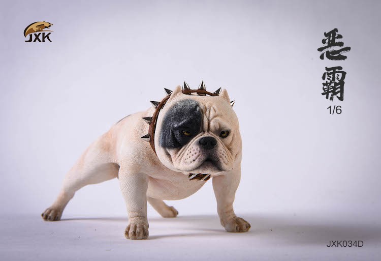 [สั่งจอง] JXK studio JXK034 A/B/C/D/E/F 1/6 : American Bully Pitbull Dog