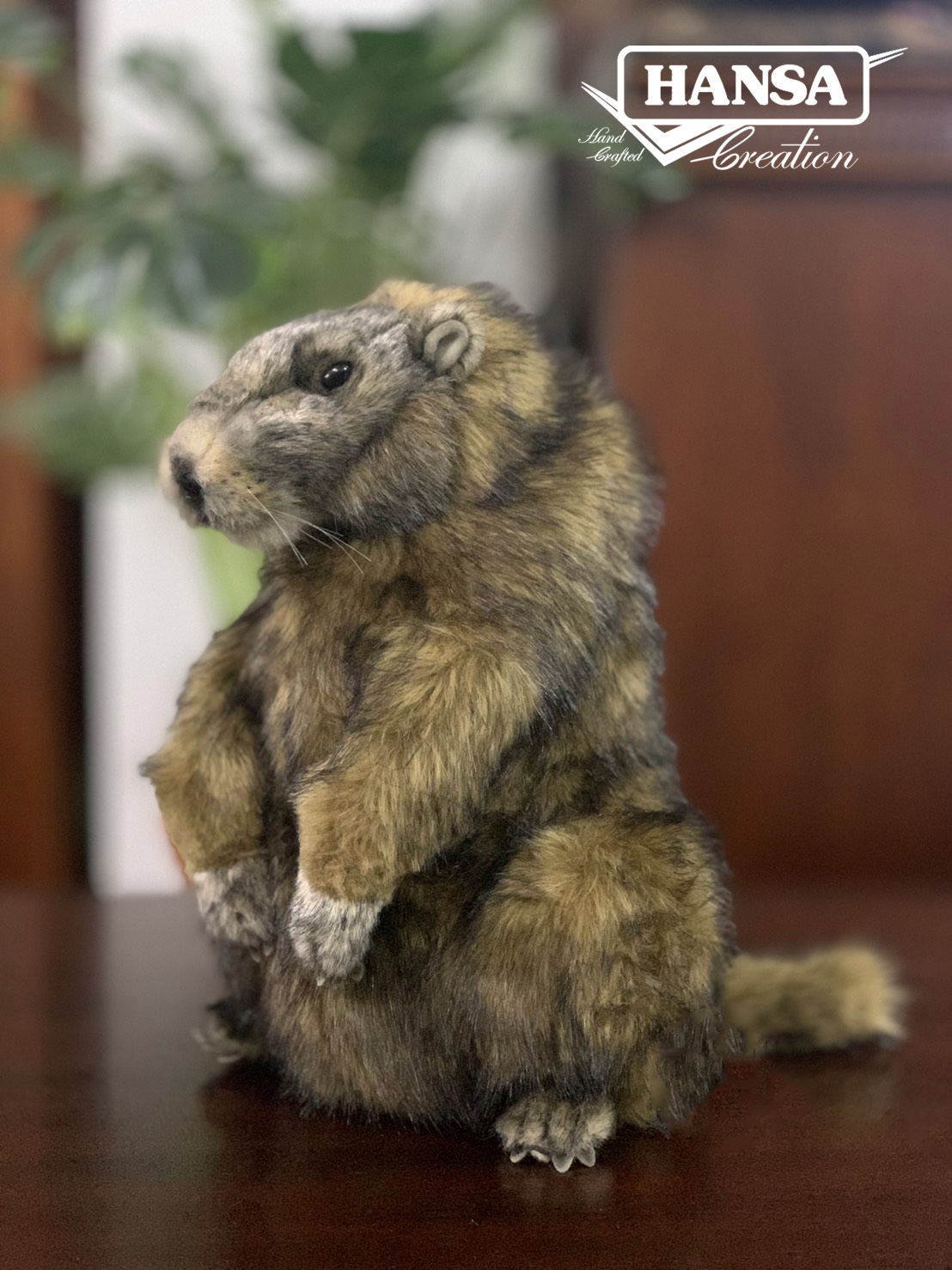 6749 Marmot 34cm.H - ตุ๊กตามาร์มอต