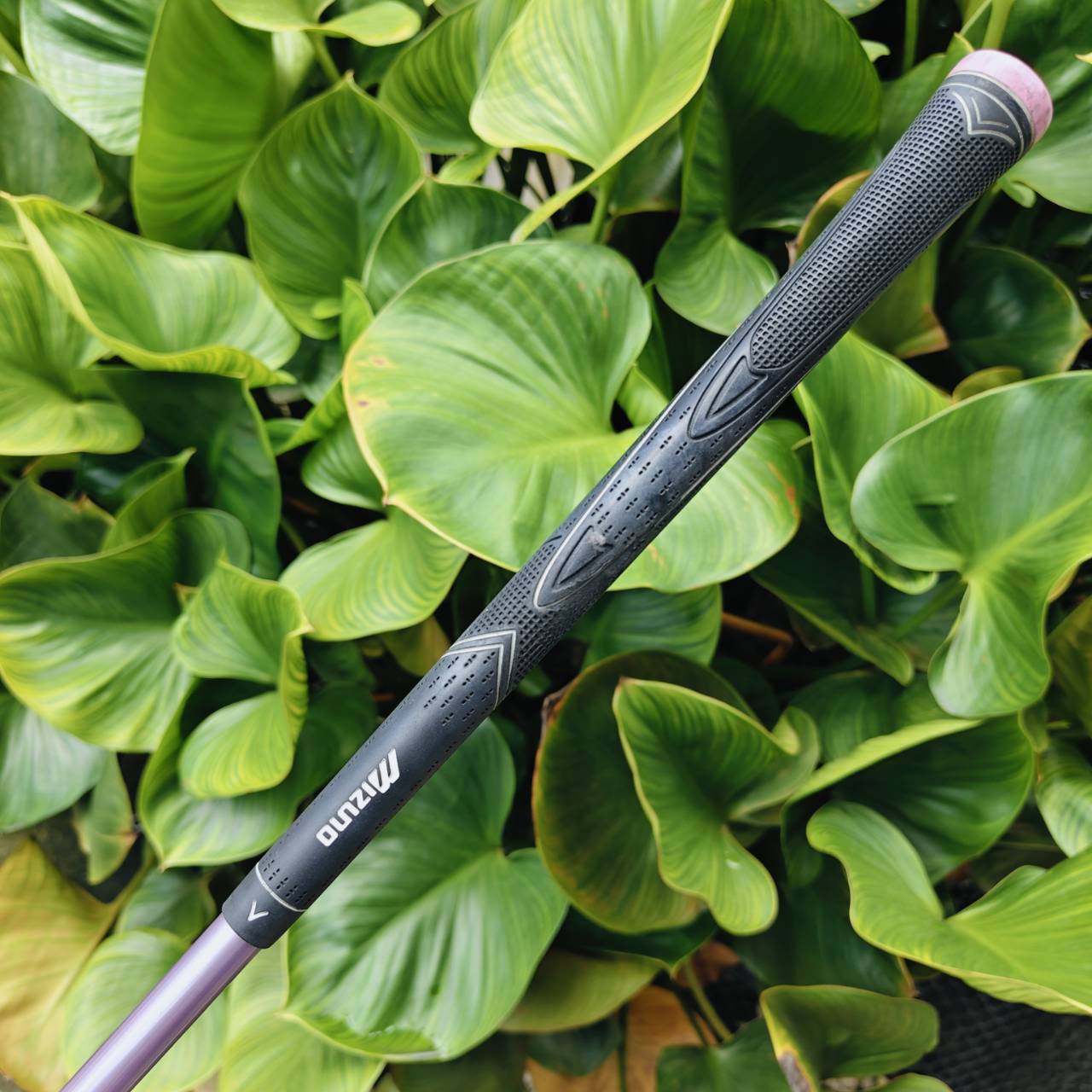 Driver Mizuno Zephyr (ญี่ปุ่น) – Flex Lady ไดรเวอร์คุณภาพจากญี่ปุ่น สำหรับผู้หญิง