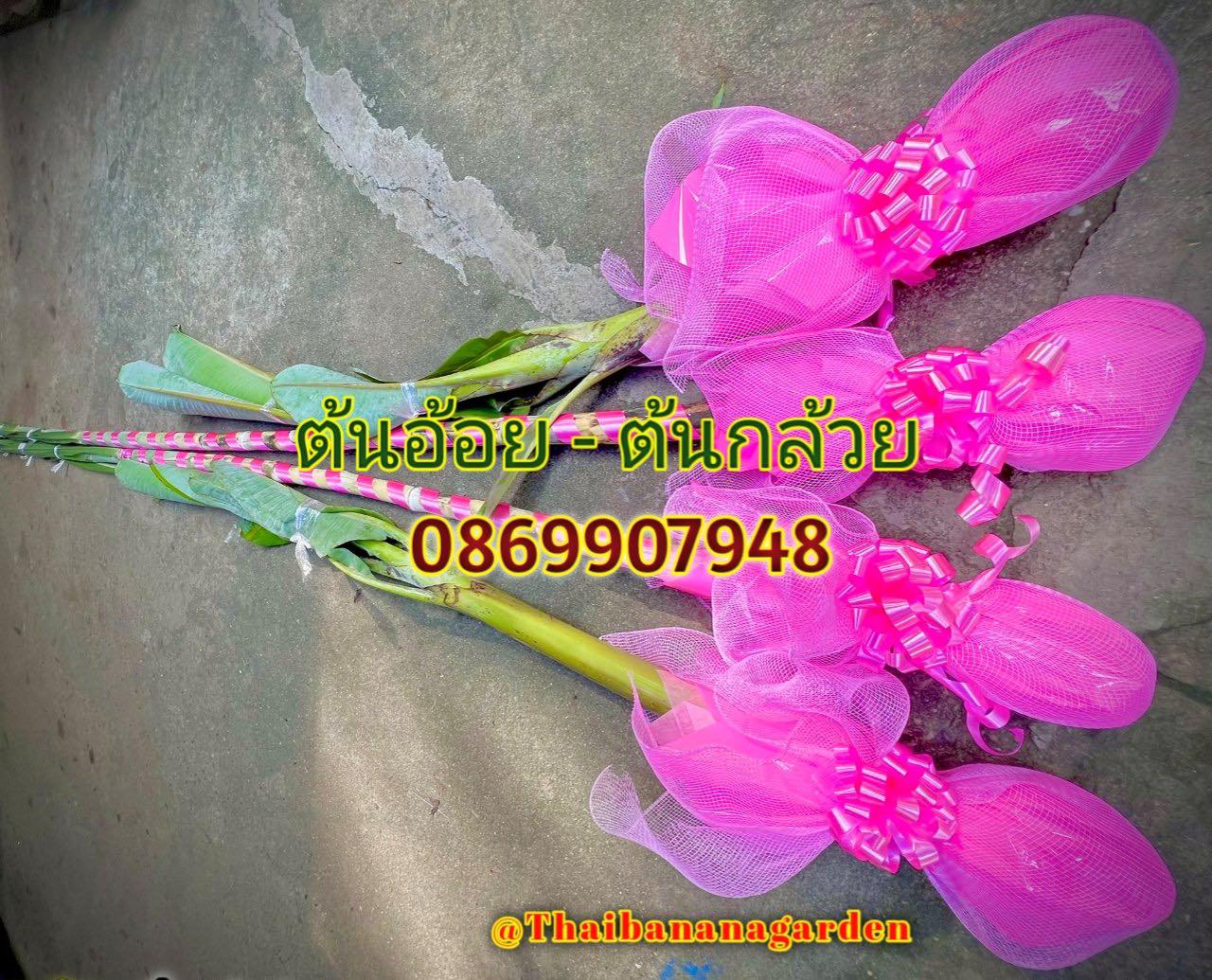 ต้นอ้อย ต้นกล้วย (ขันหมาก) (ทรงเครื่อง)