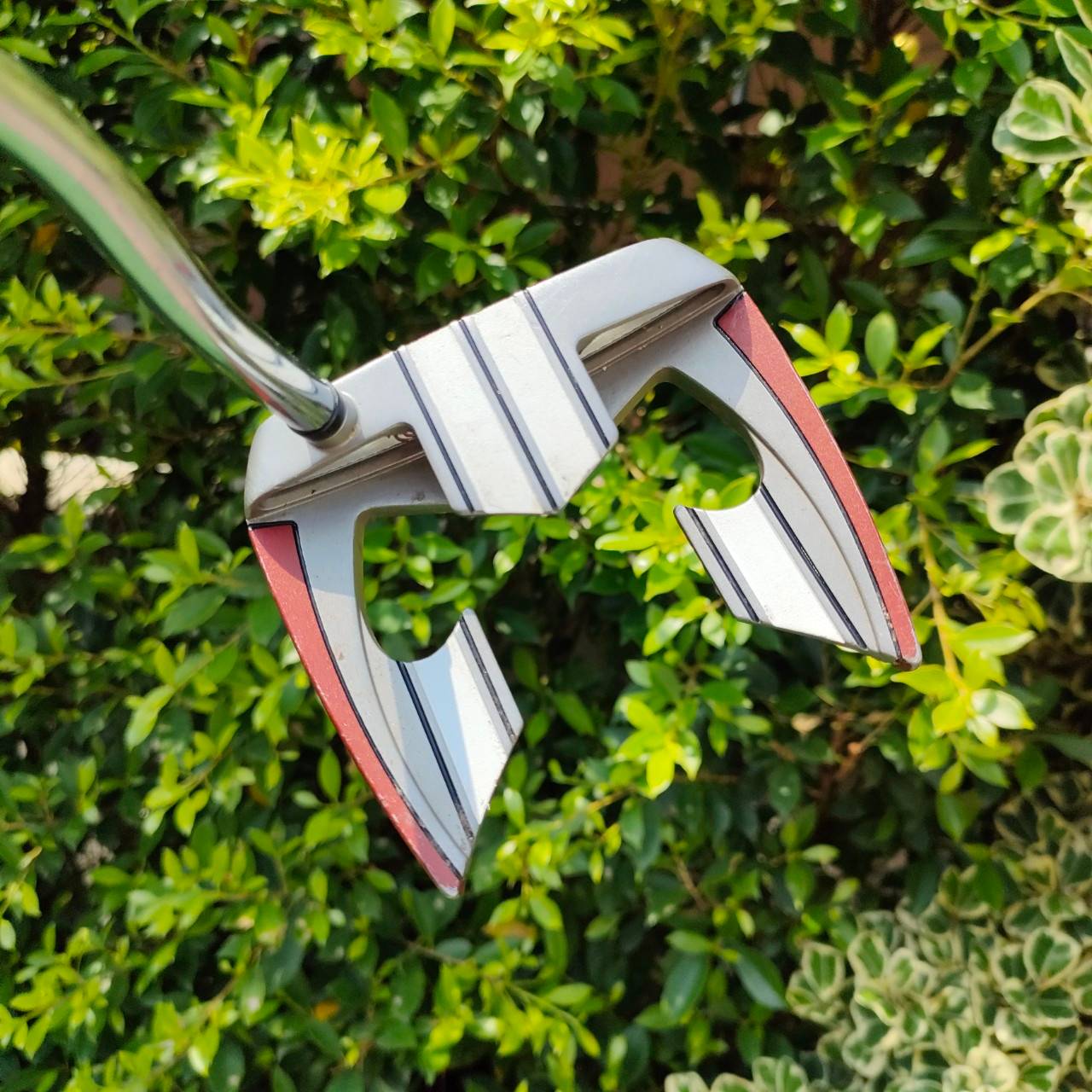 PUTTER ODYSSEY WHITE HOT XG TERON ความยาว 33 นิ้ว ก้าน ODYSSEY รุ่นนี้เล็งง่ายสุดๆ และบล๊านซ์สุดๆ หน้า XG ทั้งนุ่มและเกาะไลน์มากๆ ถือว่าเป็นรุ่นที่ดีสุดๆรุ่นนึงเลยครับ