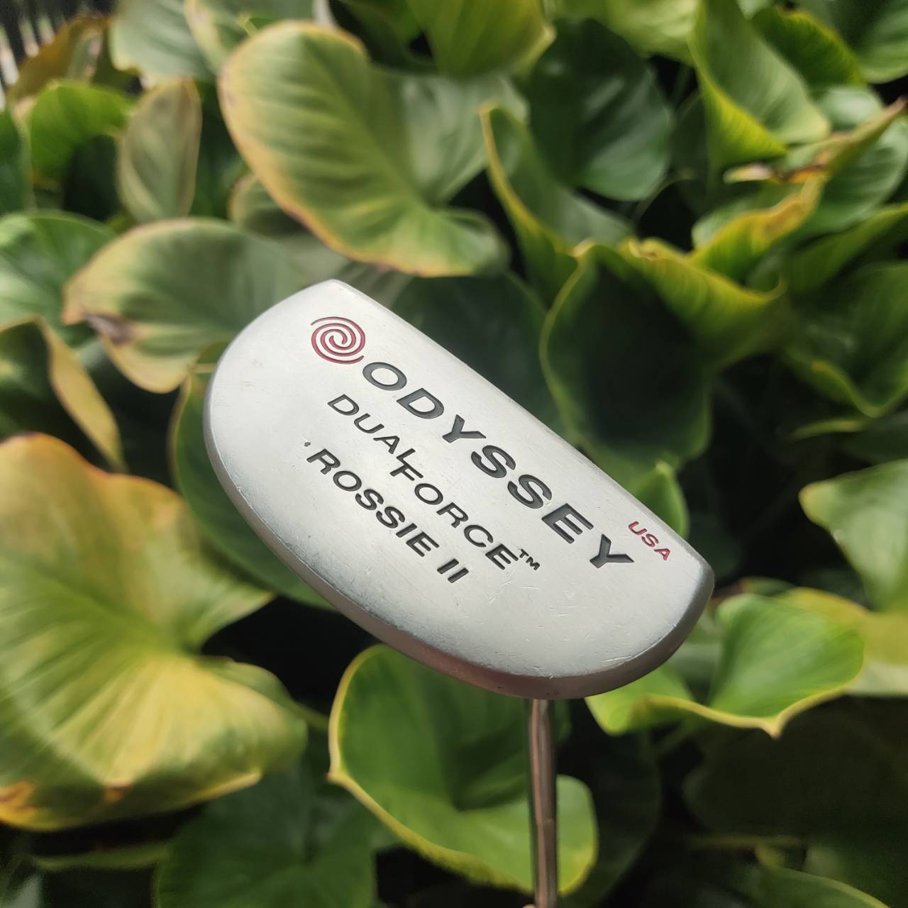 PUTTER ODYSSEY DUAL FORCE ROSSIE II รุ่นหน้าดำทั้งนุ่มและเกาะไลน์มาก รุ่นนี้ยอดนิยมมาก