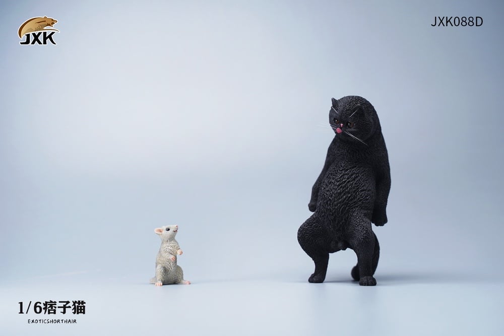 [สั่งจอง]JXK JXK088 1/6 : Exoticshorthair