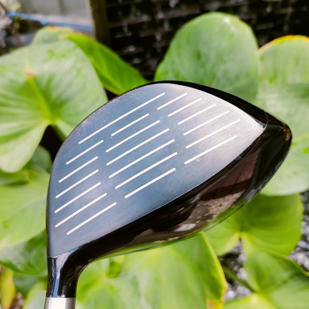 Driver RYOMA MAXIMA รุ่นพิเศษ SPECIAL TUNNING หน้าเด้งมากๆ ตีไกลสุดขั้ว!!! องศา 9.5 ก้าน TOUR AD M2-V 55R ไม้กอล์ฟพรีเมี่ยมมือสอง ของแท้ By NakaraLuxurious