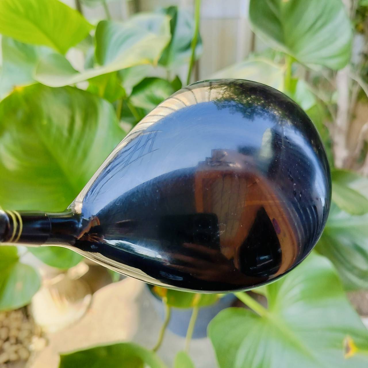 Driver KASCO DNA หน้าเด้งญี่ปุ่น!!! องศา 9 วัสดุ S-AGING TITANIUM ก้าน FUJIKURA Z-COM BT35 FLEX X ก้านเบาญี่ปุ่น ประมาณ S อเมริกาค่ะ สำหรับท่านที่ชอบไม้ที่ตีมันส์ๆ ไม้กอล์ฟพรีเมี่ยมมือสอง ของแท้ By NakaraLuxurious