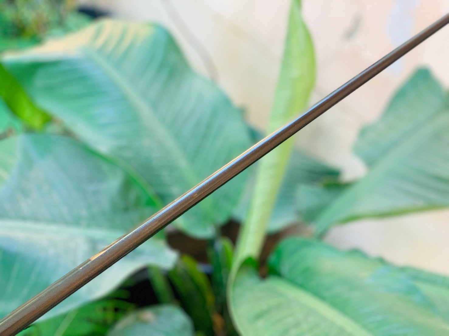 DRIVER BRIDGESTONE 300 FOGED TITANIUM