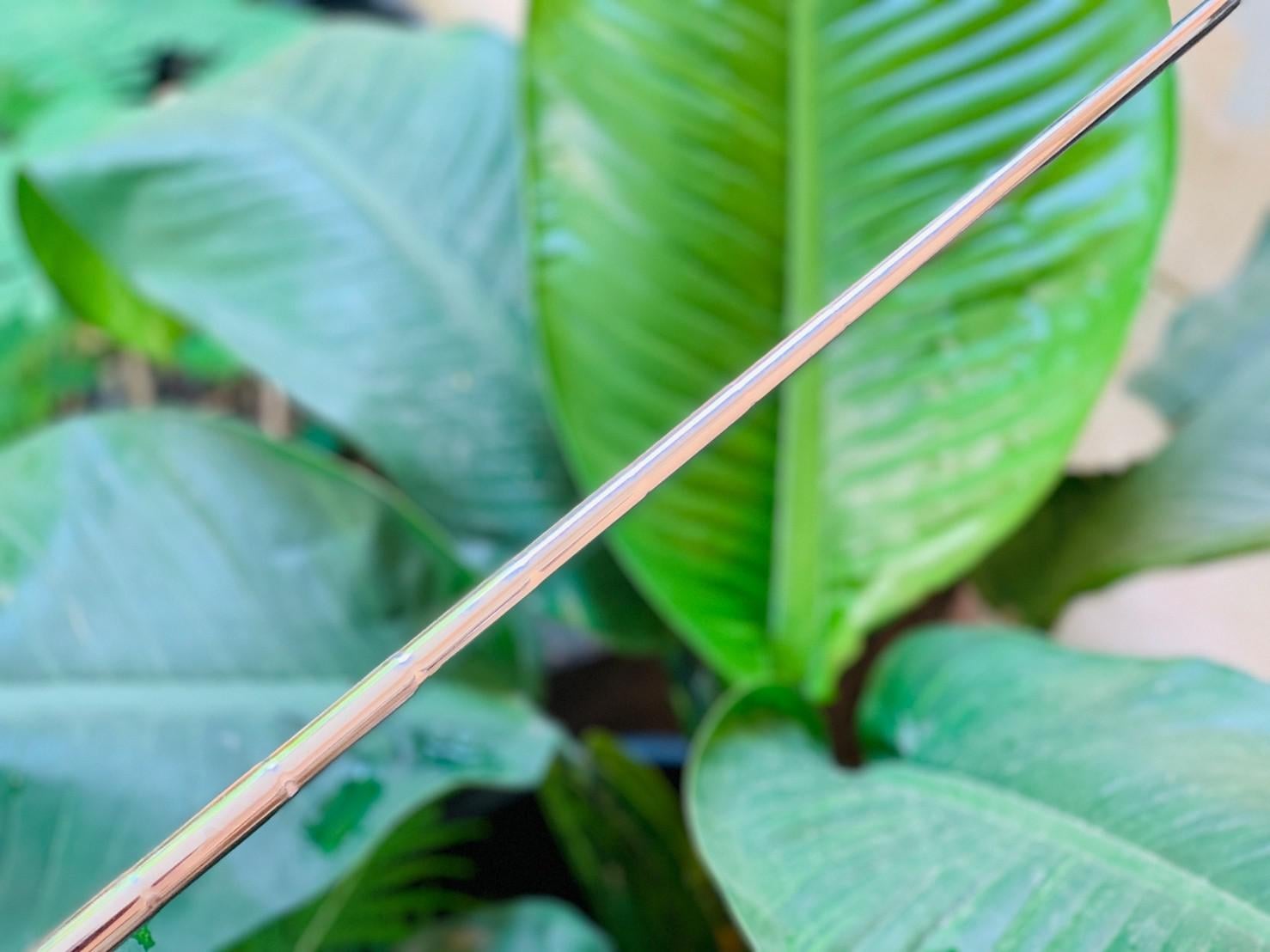 PUTTER ZEBRA ความยาว34 นิ้ว