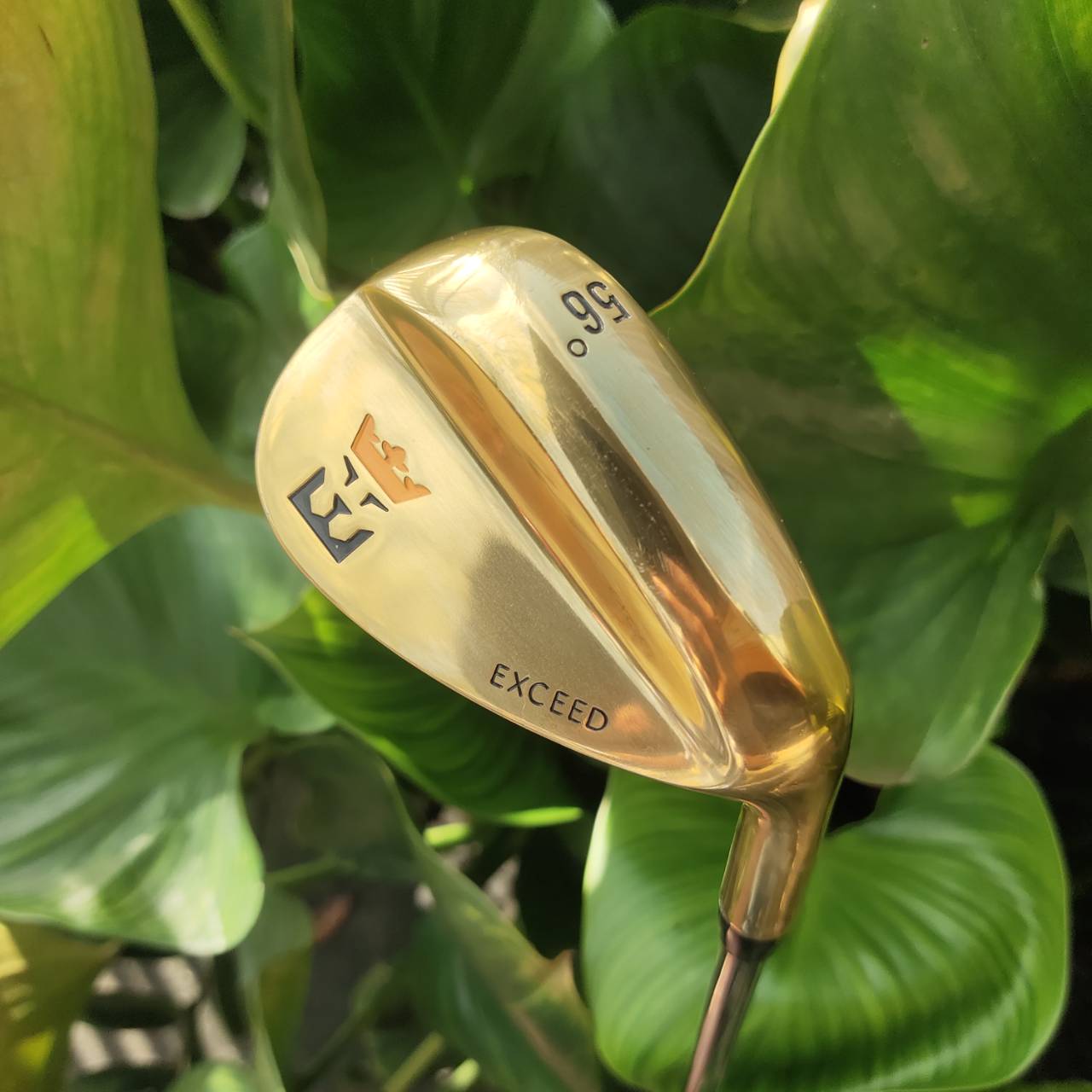 WEDGE EXCEED GOLD หน้าตะไบ องศา 56 ตกหยุดถอยๆ โหดมาก!!! วัสดุพรีเมี่ยม สีทอง สวยงามและหรูหรามาก!!!