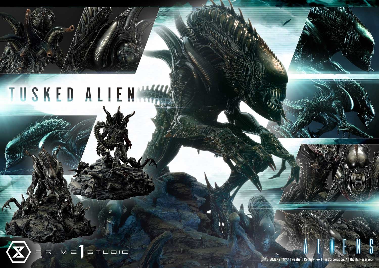 [สั่งจอง]Prime 1 Studio PMDHAL-05 : Dark Horse Comics - Tusked Alien