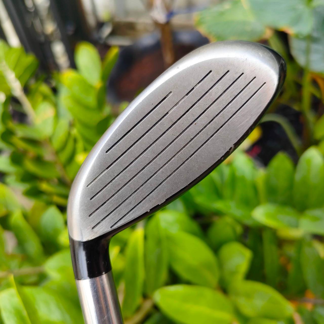 FW5 CALLAWAY DIABLO EDGE องศา 18 ก้าน CALLAWAY DIABLO EDGE FLEX S รุ่น EDGE เป็นรุ่นที่เพิ่มความมันส์เข้าไป จากที่ตีง่ายอยู่แล้ว ปรับให้สามารถเล่นได้ หลากหลายยิ่งขึ้น สภาพสวยเดิม ไม้กอล์ฟมือสอง ของแท้ BY NakaraLuxurious