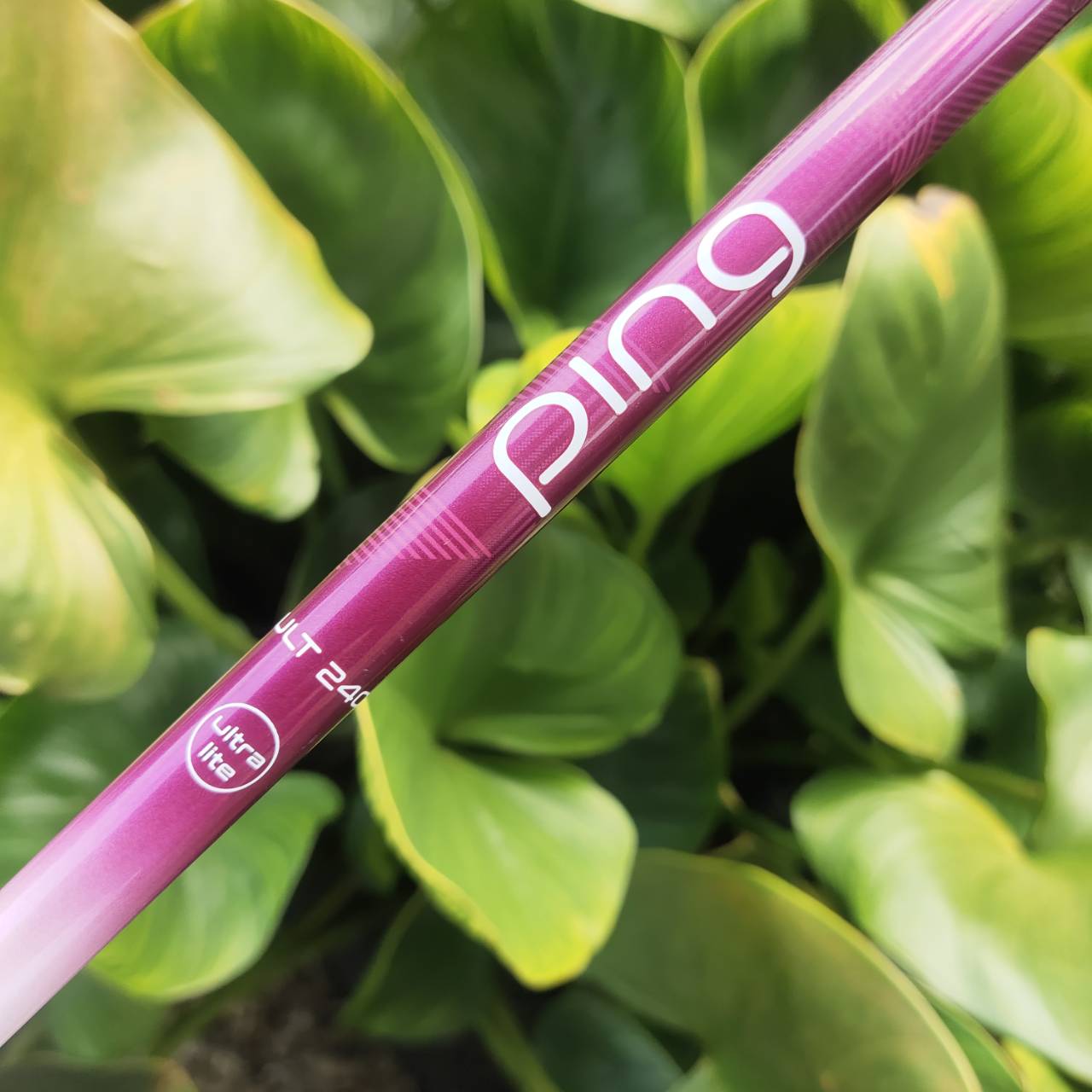 DRIVER PING GLe2 Lady ออกแบบและเพิ่มเทคโนโลยีที่ทันสมัย เพื่อตอบสนองท่านนักกอล์ฟสุภาพสตรี