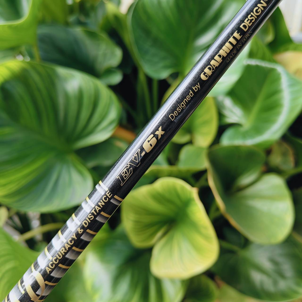 TOUR AD EV-6X – ก้านแรง ฟีลแน่น สำหรับนักกอล์ฟที่ต้องการ "ความแม่นระดับโปร"