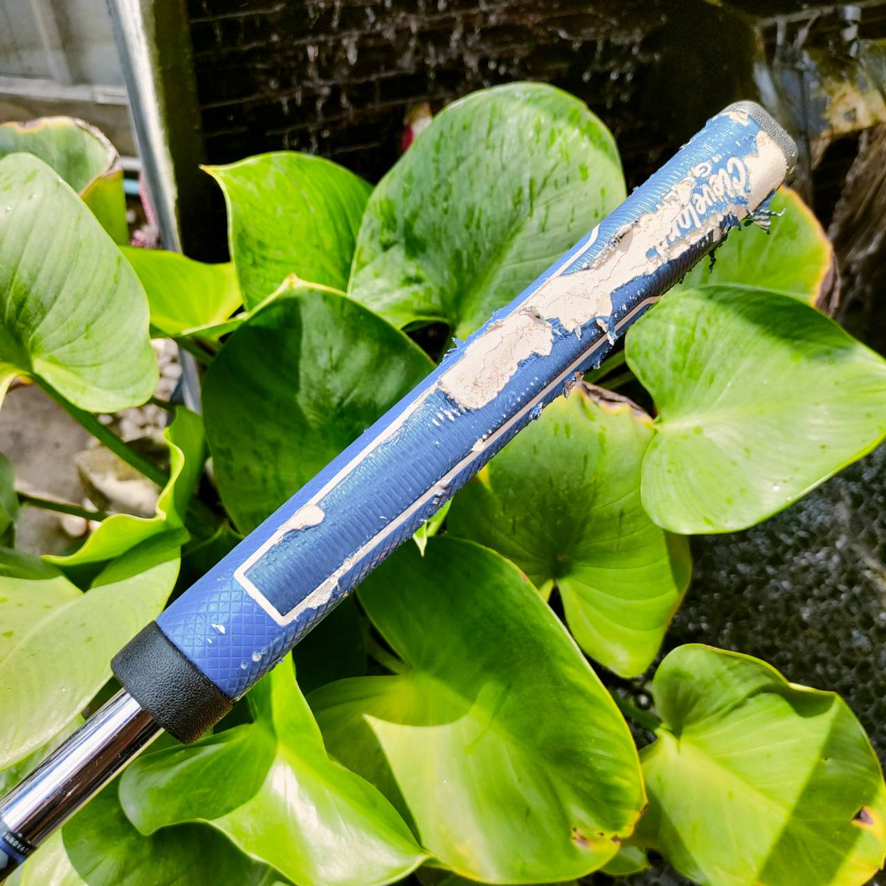 ** กริพเสีย ** PUTTER CLEVELAND TFi CERO 2135 ความยาว 34 นิ้ว ตัวเล็ง 2135 ที่แม่นยำกับสายตาอย่างมาก รูปทรงชดเชยสูง หน้าสัมผัสสุดเกาะไลน์ มี COVER แท้เดิม ไม้กอล์ฟพรีเมี่ยมมือสอง ของแท้ By NakaraLuxurious
