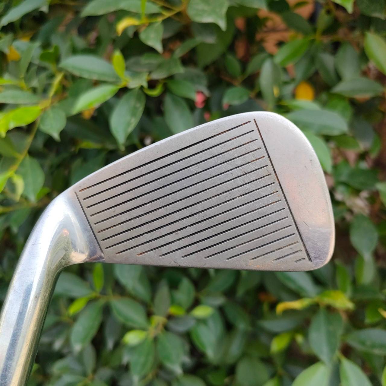 เหล็ก 5 MIZUNO CLUB CHANMOION ก้าน NA FLEX 1120 FLEX R เหล็กตีง่าย หลัง CAVITY สวยเดิมๆ MADE IN JAPAN