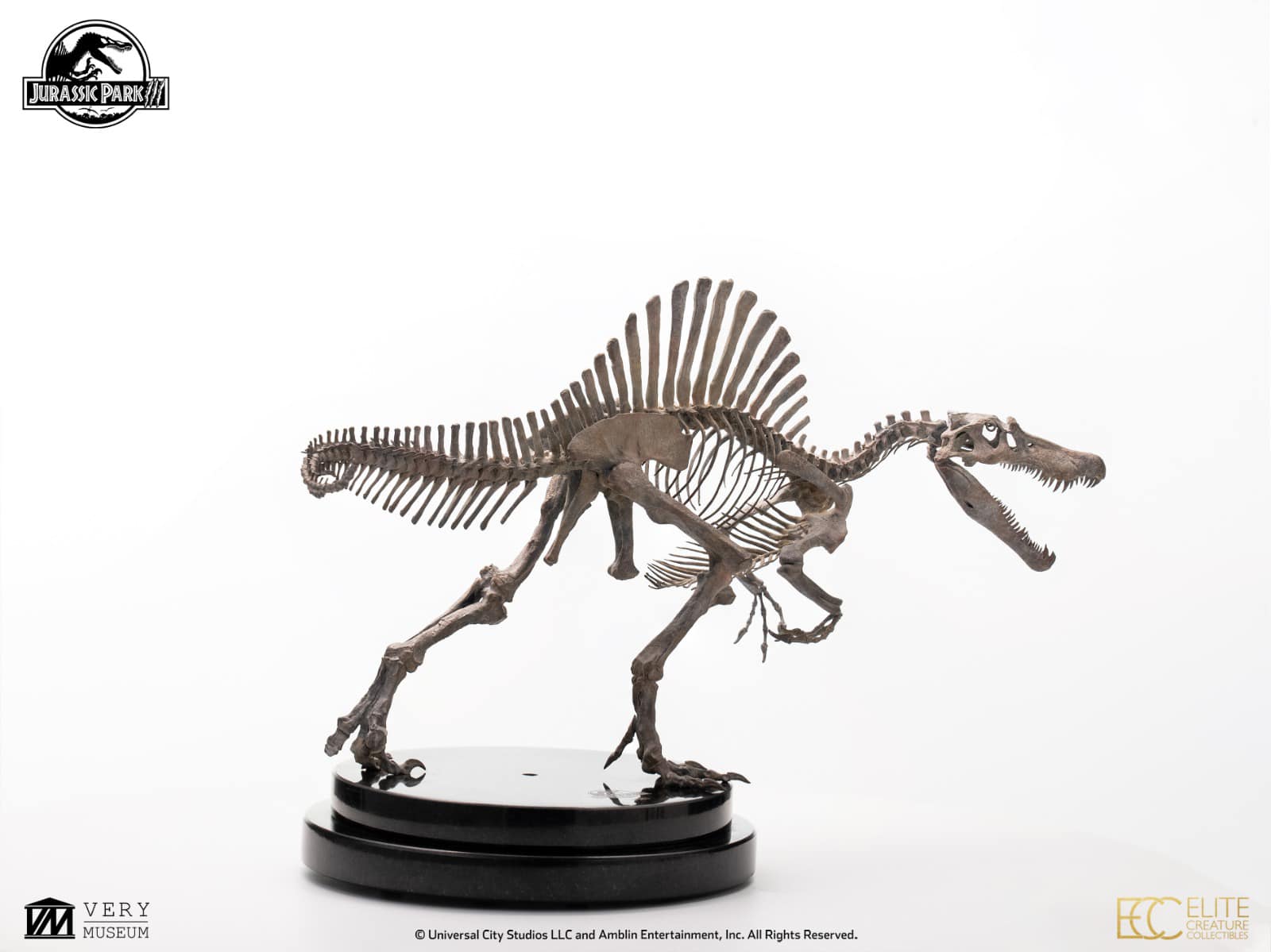 [สั่งจอง]ECC : Bronze Spinosaurus Skeleton (Jurassic Park III)